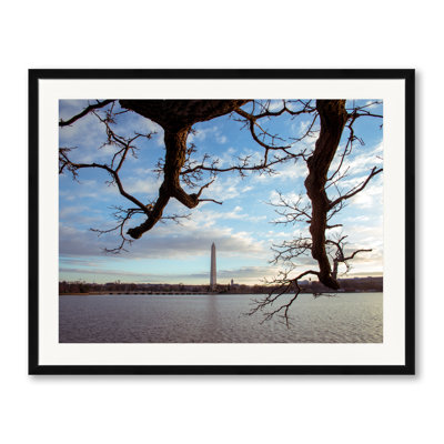 Cork Tree and Washington Monumnet Photographic Print Canvas
