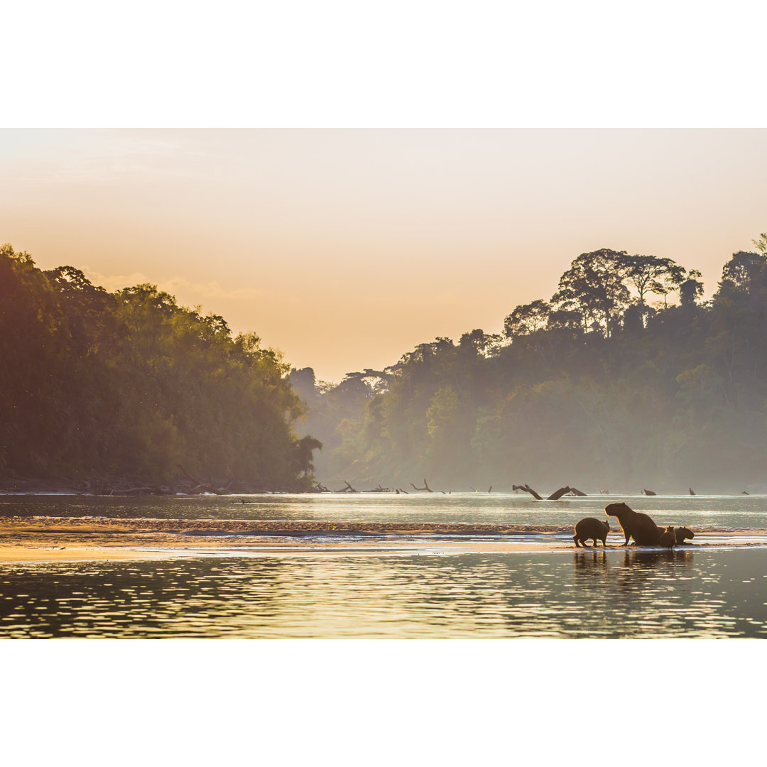 Manu-Nationalpark von RPBMedia - Leinwandbild