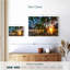 Gillard Anse Champagne Gillard coucher de soleil-107698914