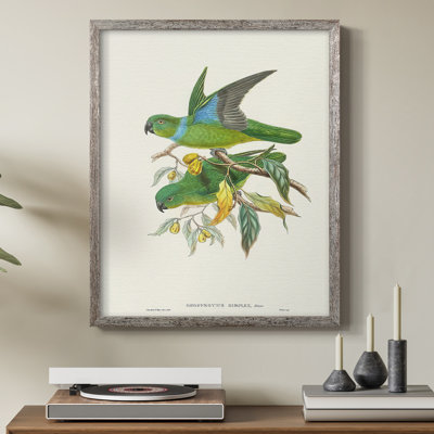 Lime&CeruleanParrotsII Framed Print - Solid Wood