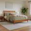 Lit pour enfant Areya Bed-1569132013-1569132014