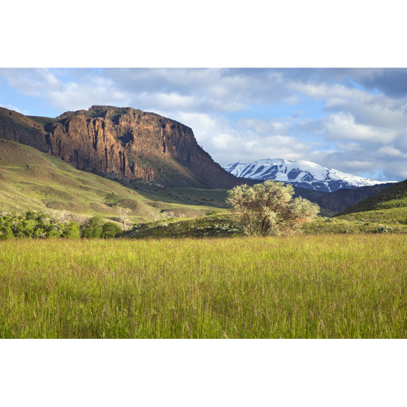 Field And Mountains In Wyoming by Willard - Wrapped Canvas Print, 30cm H x 46cm W x 3.8cm D