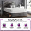 Gallego Upholstered Divan Bed-386540445-386540450-386542520