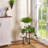 3-Tier Plant Stand, Small Metal and Wood Plant Shelf for Multiple Indoor Plants, Corner Flower Pot Display Rack for Living Room, Bedroom, Balcony