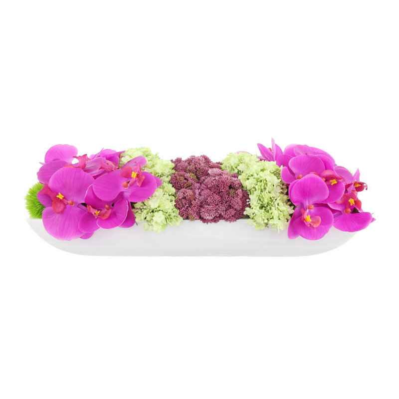 Orchidée Adelina et arrangement de plantes grasses, H 6,5 po x l 19,5 po x P 8 po