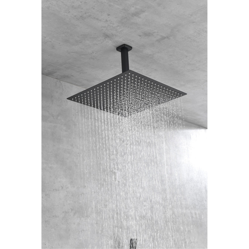 Douche de plafond noir mat. Tête en laiton de 16 po. Simule la pluie naturelle. La buse autonettoyante maintient la sortie d'eau propre. S'harmonise avec le tuyau standard américain. 14,93 po x 6,16 po, 11,84 po
