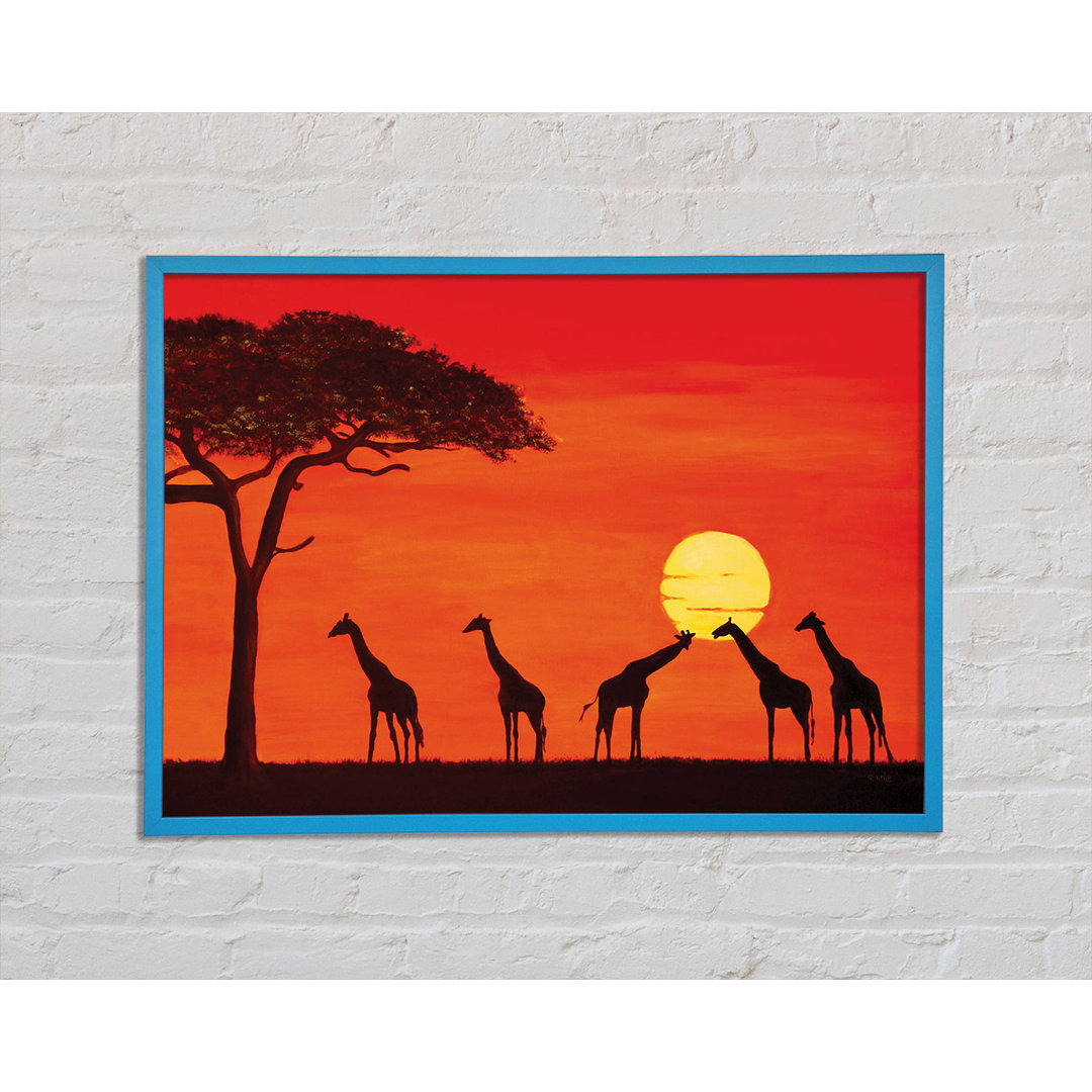 Giraffen bei Sonnenuntergang - Druck