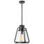 Luminaire suspendu conique à 1 lumière Iola-239980359-239980357