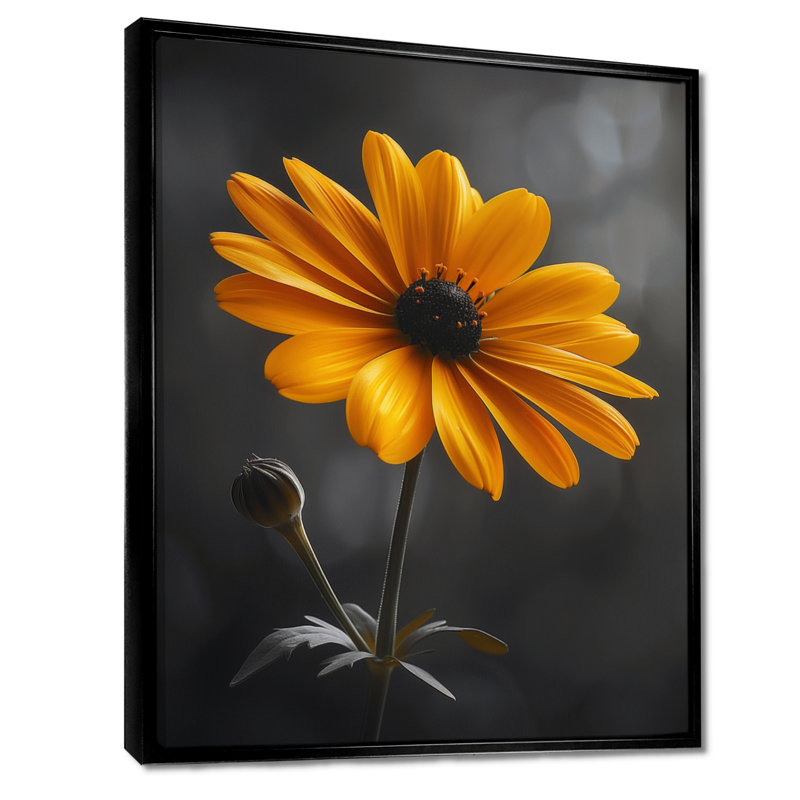 Jaune jaune noir Splendor Marigold Photo II - Marigold Wall Art Living Room, H 30 po x l 40 po