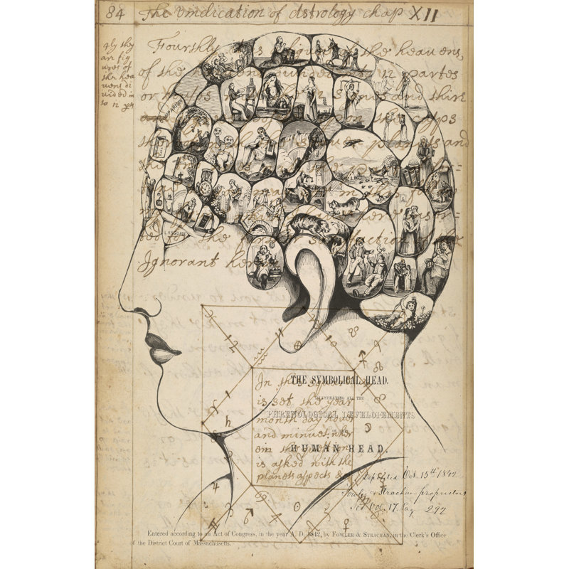 Phrenology Bookpage by Jennifer Goldberger - Wrapped Canvas Print, 91cm H x 61cm W