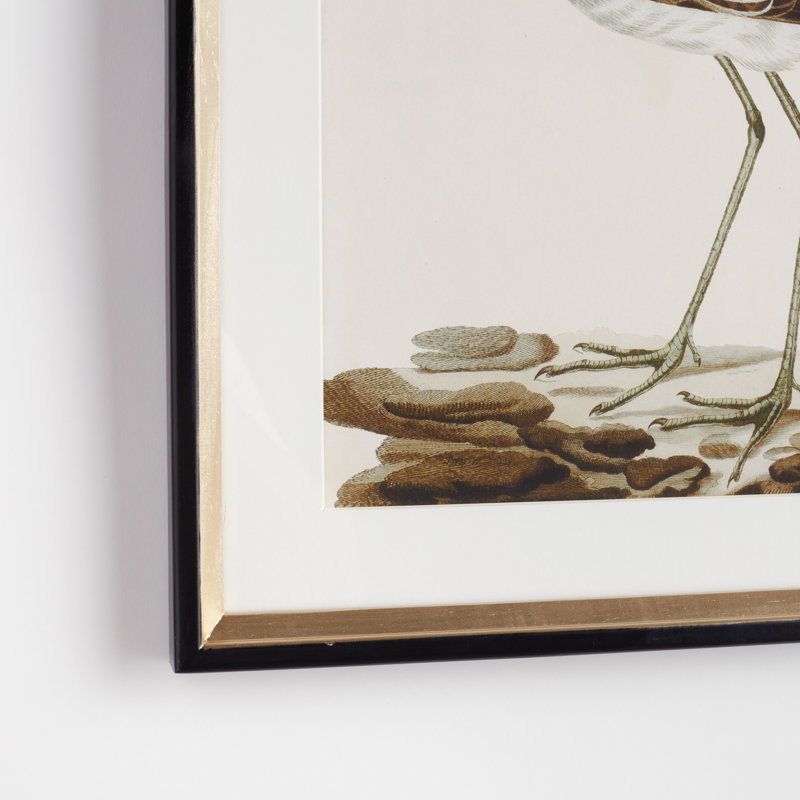WANDERING BIRDS STUDY, SET OF 3