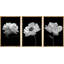 "Flower Blossom" noir et blanc coquelicot et œillet, nature morte, impression sur toile, 3 pièces-91259819-91259822