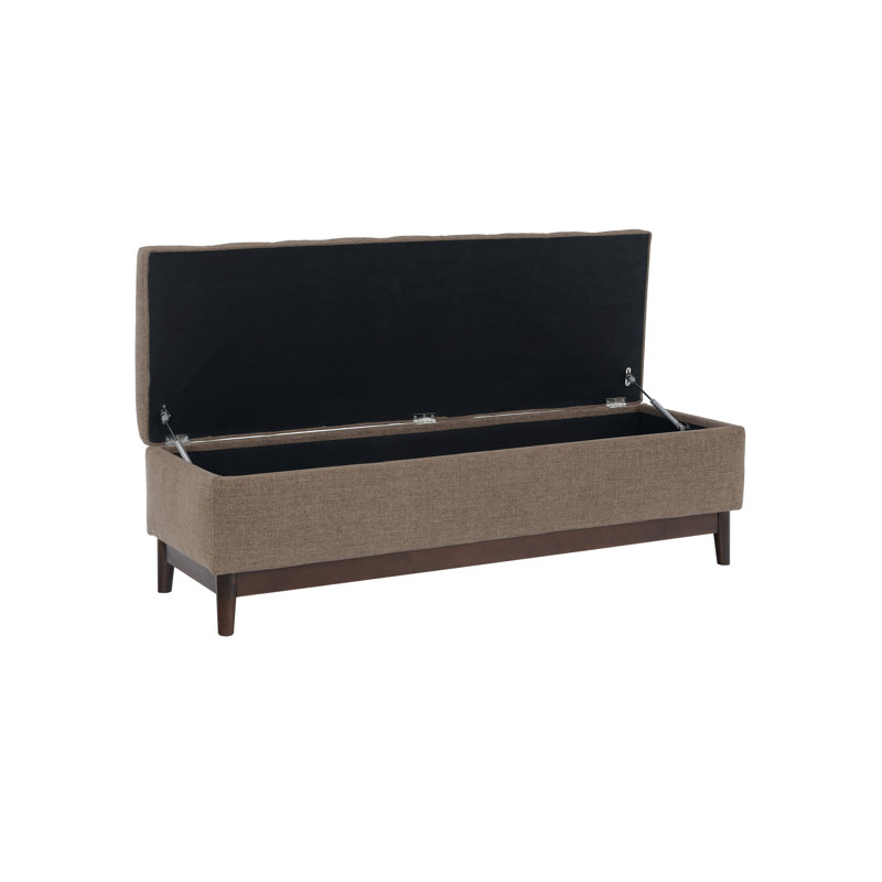 Brooke 2 Contemporary Storage Bench, Brown