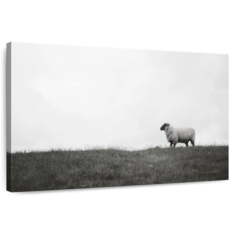 Brampt Islay Sheep II, 8" H x 12" W
