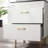 Modway Daybreak 24" Bathroom Vanity-1214453973