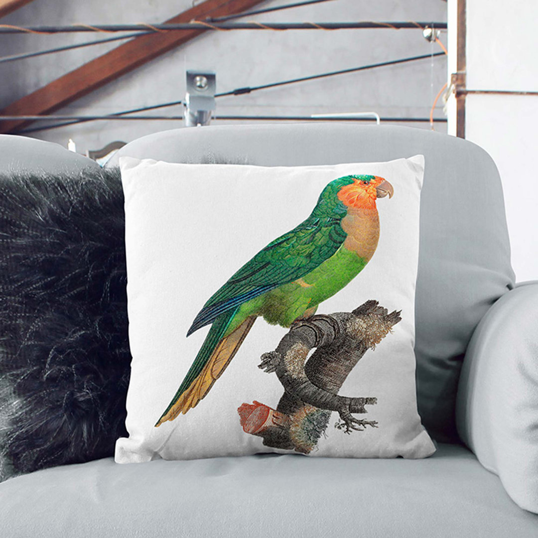 Headed Amazon Parrot by F. Levaillant Cushion with Filling