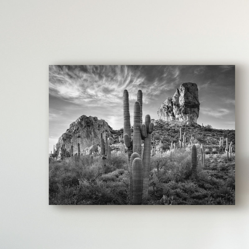 «Black and White Desert View I» par David Drost - reproduction de photo sur toile, H 14 po x l 19 po x P 2 po