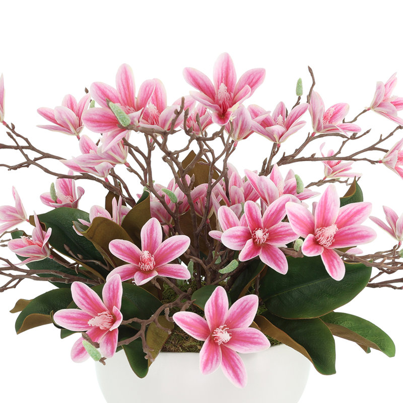 Butterfly Magnolias in Decorative Vase