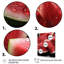 «Whimsy Pastel» rose pastèque II - fruits, art mural-2104595389