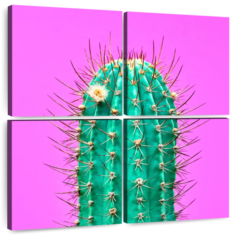 Cactus Harnek, H 26 po x l 26 po