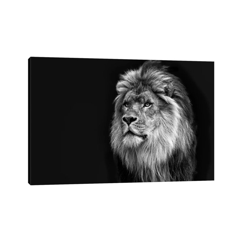 Majestic In Black & White by David Gardiner - Wrapped Canvas Print, 45.72cm H x 66.04cm W