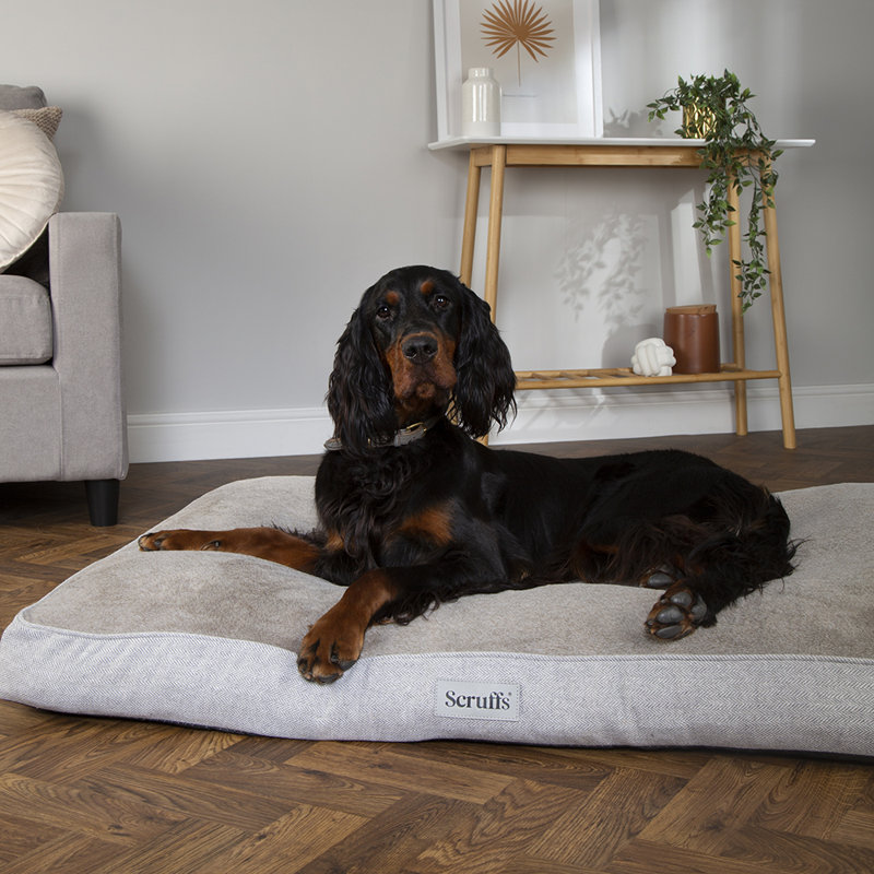 Scruffs Harvard Orthopedic Dog Bed - For Ultra Support & Comfort, 20cm H x 100cm W x 70cm D, Pearl Grey