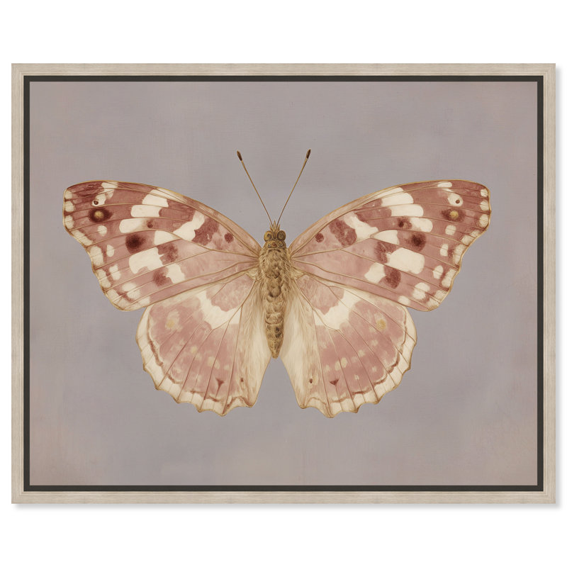 Décoration murale encadrée "Antique Flutter II" par Art Remedy, cadre en chêne naturel, 36 x 30, 37"H x 31"W