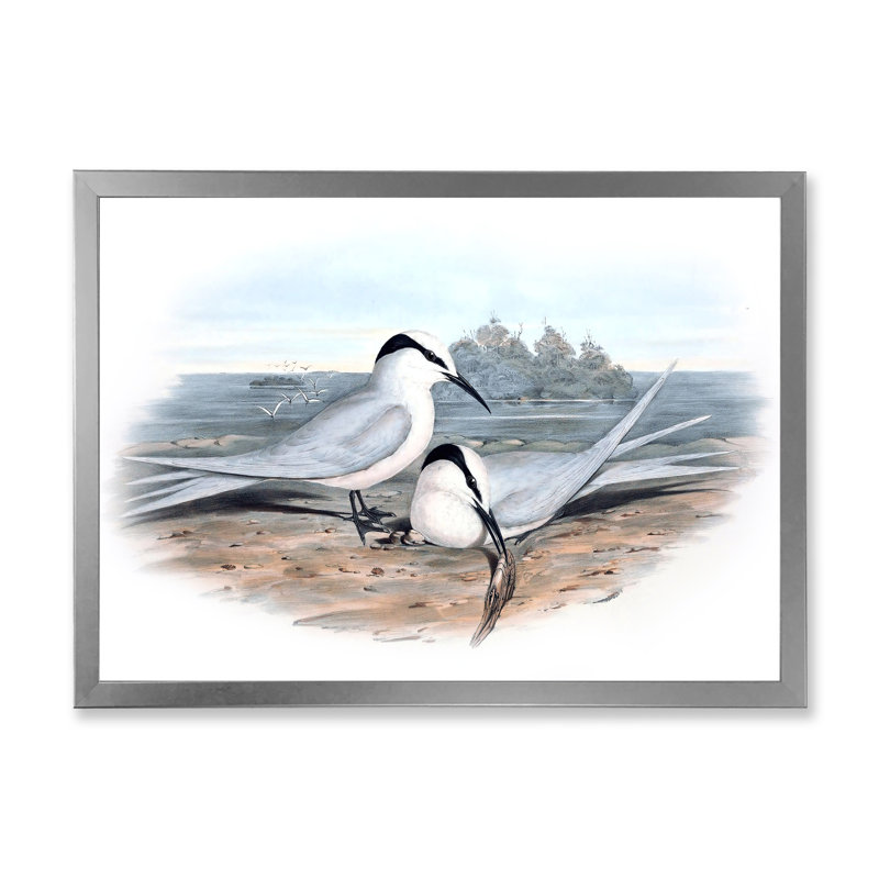 «Vintage Birds in the Wild», impression sur toile, H 30 po x l 40 po x 1,5 po, Toile encadrée argentée