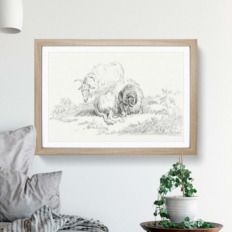 Sketch of Two Goats by Jean Bernard - Picture Frame Drawing Print, Oak Framed, 36cm H x 48cm W x 2cm D