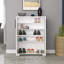 Baneen 8 Pair Shoe Storage Cabinet