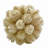 Jayceon Box of 4 Preserved Decorative Pinecone Orbs – Matte White