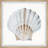 " Pretty White Shell " by Parvez Taj Watercolor Painting-955157389