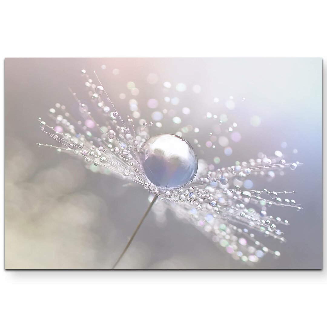 Leinwandbild Pusteblume mit Wassertropfen