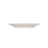 9'' Melamine Dinner Plate