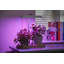 Tico Adjustable Wood USB Novelty Lamp