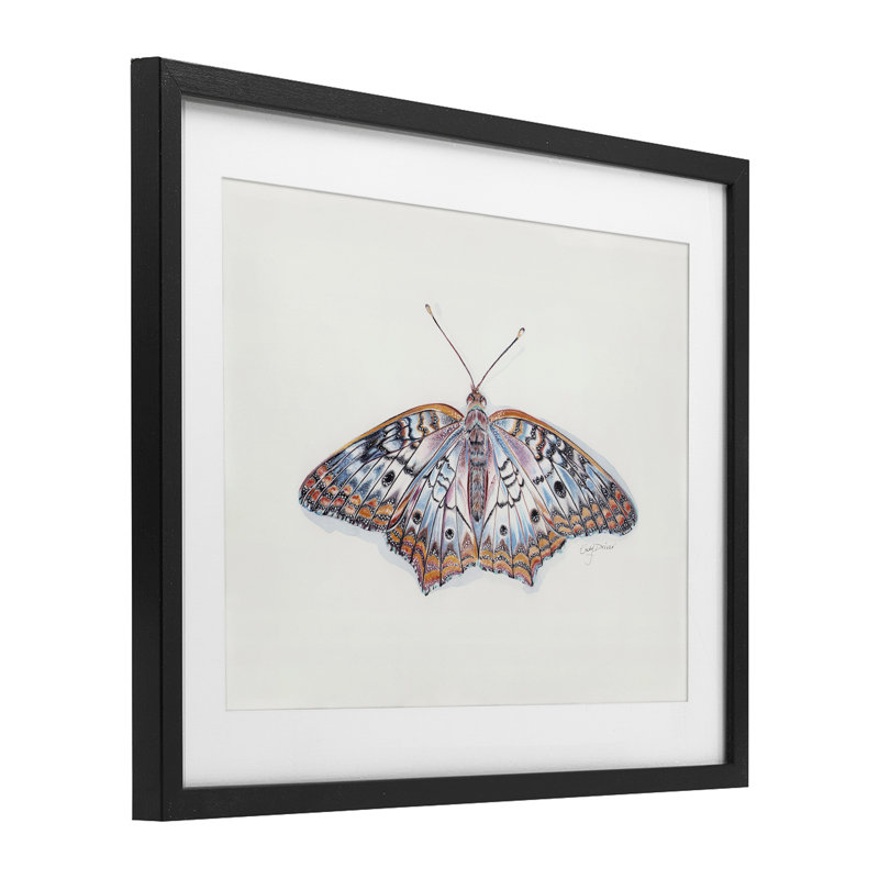 Délicat papillon de nuit avec motif détaillé encadré sous verre, conception de Cady, H 13 po x l 16 po, Cadre noir minuit