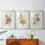 Antique Garden Bouquet I - Impression personnalisée de qualité supérieure avec cadre mat - 3 pièces-1887252946