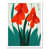 White Framed Unframed