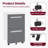 Abheek 15.4 " Wide Fully Assembled 2 Drawers Steel Mobile Vertical Filing Cabinet With Lock For Home Office