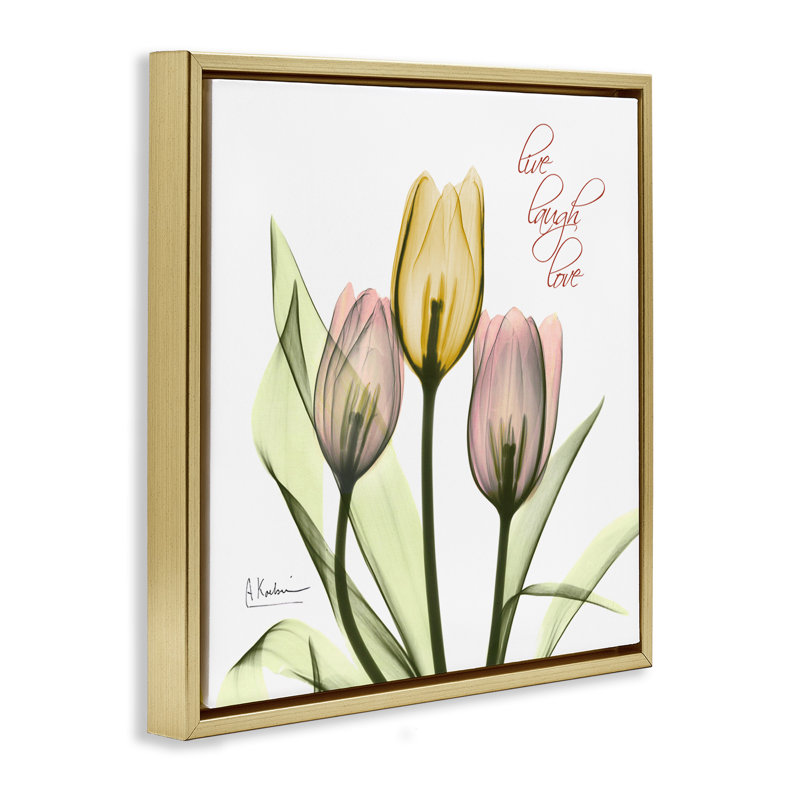 «Live Laugh Love Tulips», art mural encadré flottant gris par Albert Koetsier, Cadre flottant métallique doré