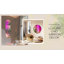 Chemesh Wall Mirror-100728050-100728061