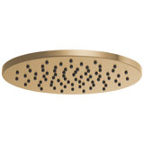 Essential™ Rain Adjustable Shower Head
