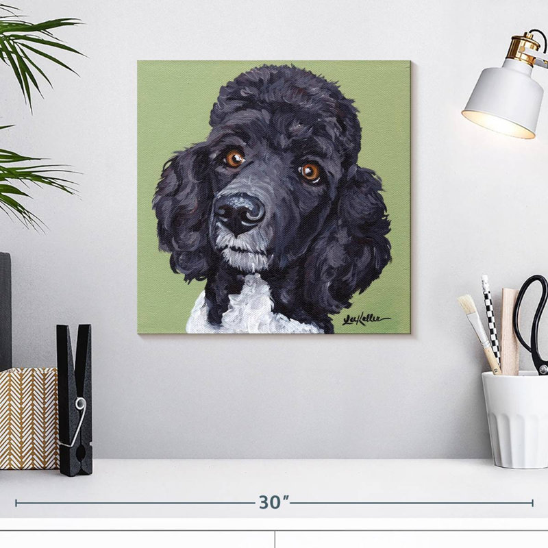 Caniche standard Tommy, H 16 po x l 16 po