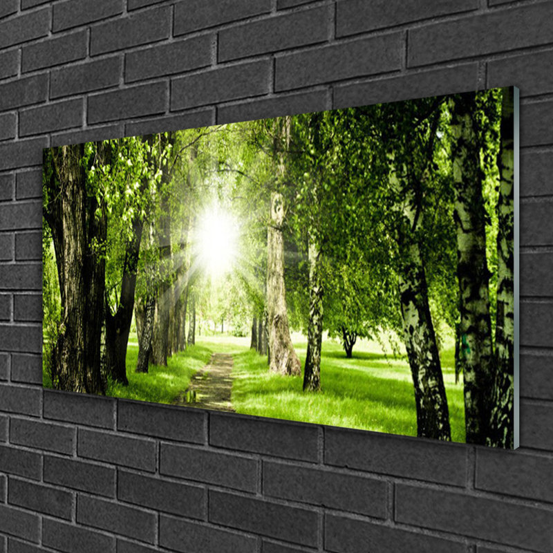 Forest Sun Footpath Nature - No Frame Print on Glass