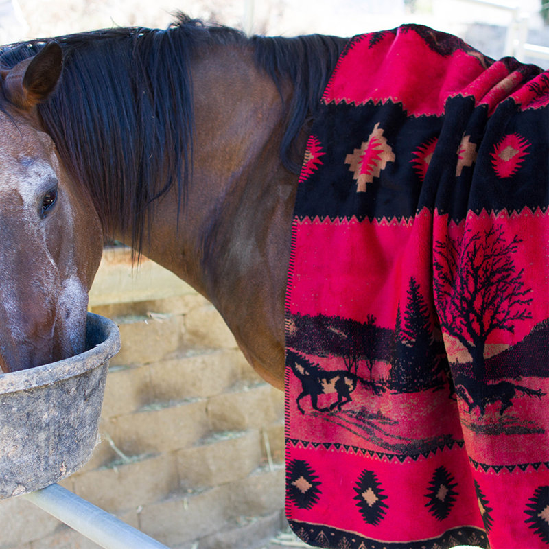  Couverture pour chevaux, l 60 po x L 70 po