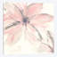 «Blush Clematis» par Chris Paschke, reproduction d'art graphique sur toile-31861242-73213022-73213017