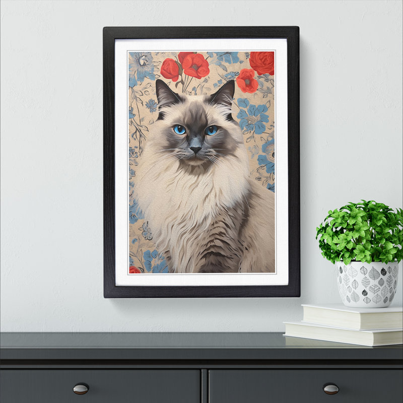 Ragdoll Cat Contemporary - Single Picture Frame Print on Wood, Black Framed, 64cm H x 46cm W x 2cm D