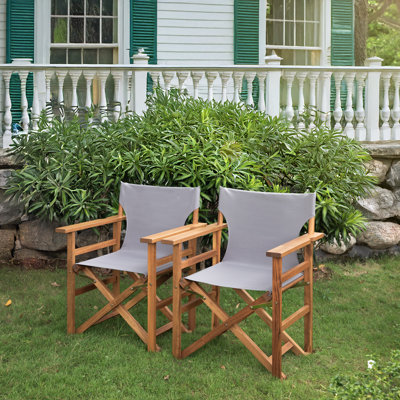 Solid Wood Folding Director Chair (Set of 2) by Ophelia & Co.