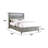 Adryan Bookcase Storage Bed-1714380231-1712102010