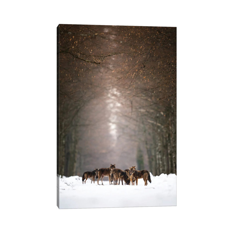 Wolves 1 Piece Wrapped Canvas Wall Art, 30.48 cm H x 45.72 cm W